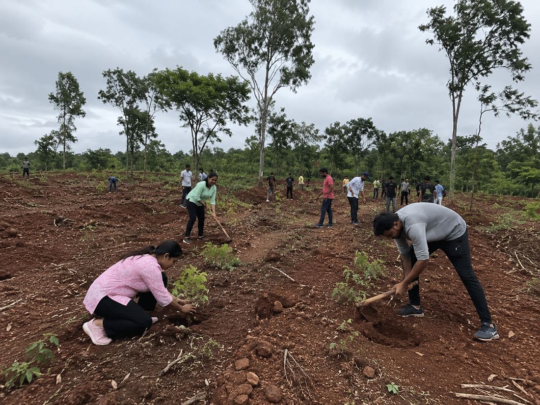 Weaver Graffic team planting trees together